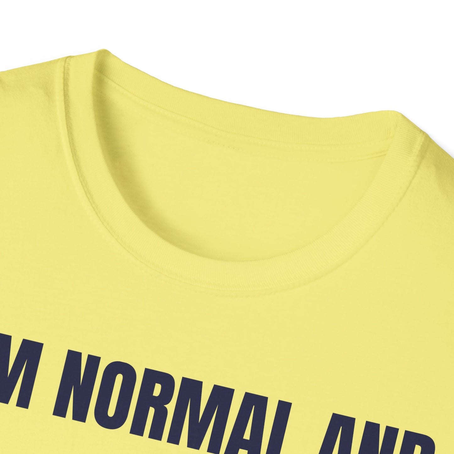 The Normal T-Shirt – Bold Graphic Tee | Unisex Comfort Fit