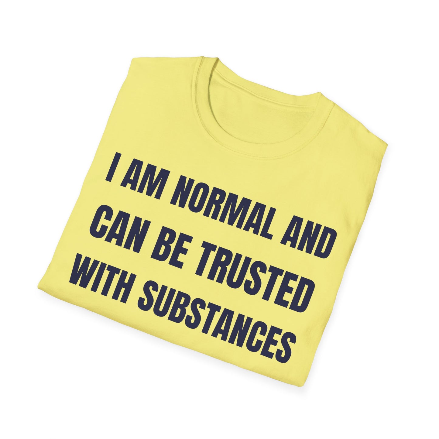 The Normal T-Shirt – Bold Graphic Tee | Unisex Comfort Fit