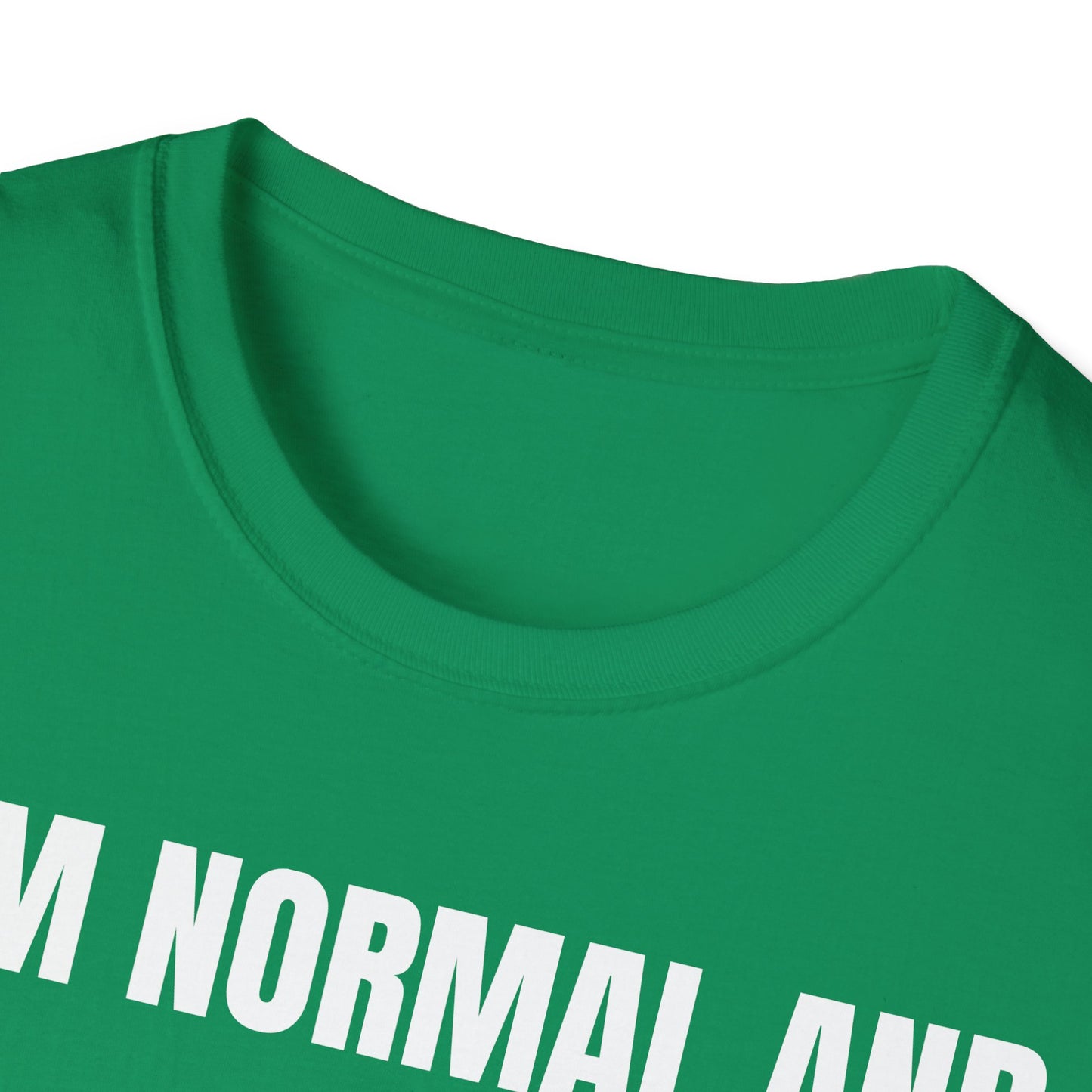 The Normal T-Shirt – Bold Graphic Tee | Unisex Comfort Fit